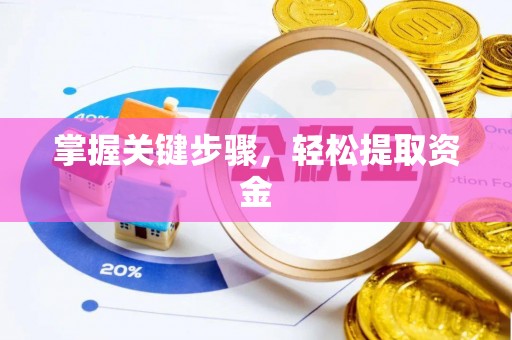 薛城掌握关键步骤，轻松提取资金
