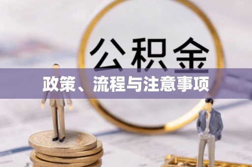 薛城政策、流程与注意事项