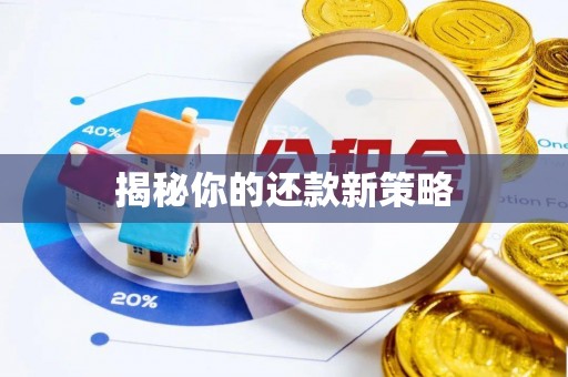 薛城揭秘你的还款新策略