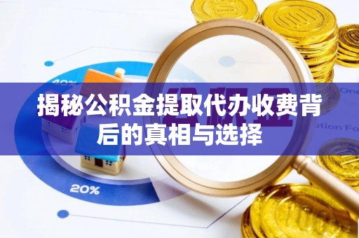 薛城揭秘公积金提取代办收费背后的真相与选择