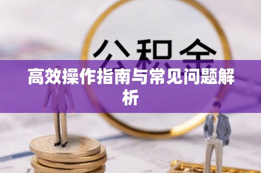 薛城高效操作指南与常见问题解析