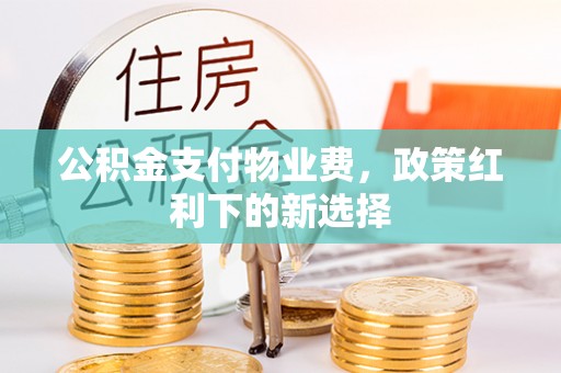 薛城公积金支付物业费，政策红利下的新选择