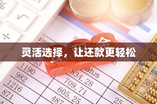 薛城灵活选择，让还款更轻松