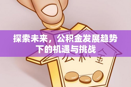 薛城探索未来，公积金发展趋势下的机遇与挑战