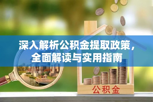 薛城深入解析公积金提取政策，全面解读与实用指南