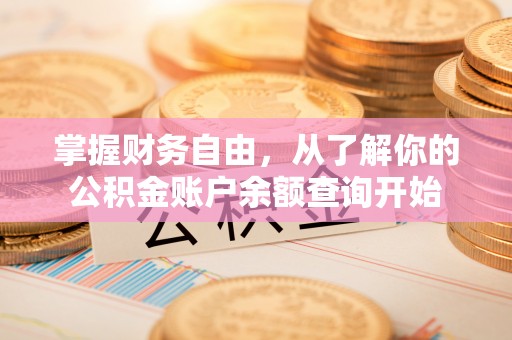 薛城掌握财务自由，从了解你的公积金账户余额查询开始