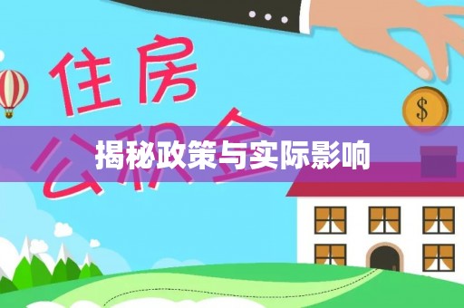 薛城揭秘政策与实际影响