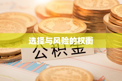 薛城选择与风险的权衡