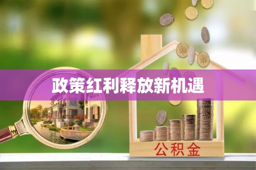 薛城政策红利释放新机遇