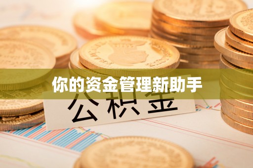 薛城你的资金管理新助手