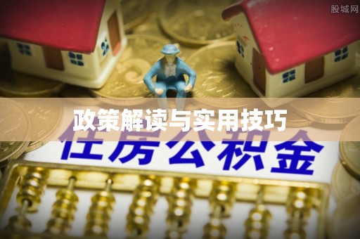 薛城政策解读与实用技巧