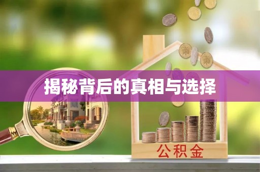 薛城揭秘背后的真相与选择