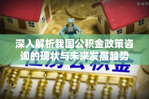 薛城深入解析我国公积金政策咨询的现状与未来发展趋势