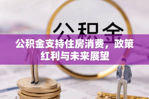 薛城公积金支持住房消费，政策红利与未来展望