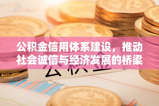 薛城公积金信用体系建设，推动社会诚信与经济发展的桥梁