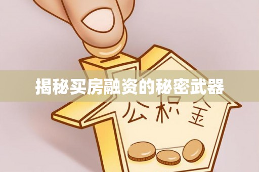 薛城揭秘买房融资的秘密武器