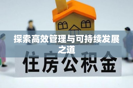 薛城探索高效管理与可持续发展之道