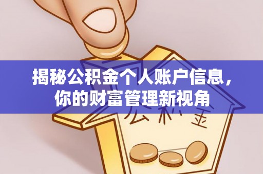 薛城揭秘公积金个人账户信息，你的财富管理新视角