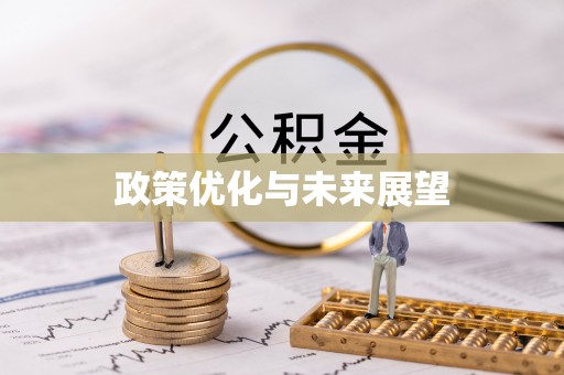 薛城政策优化与未来展望