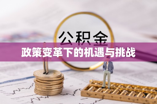 薛城政策变革下的机遇与挑战