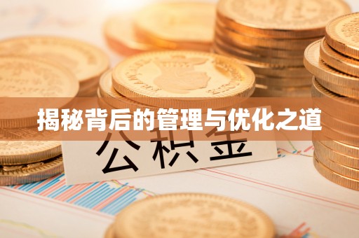 薛城揭秘背后的管理与优化之道