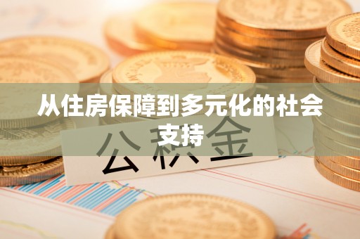 薛城从住房保障到多元化的社会支持